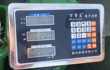 正钓出了偷驴的渔获