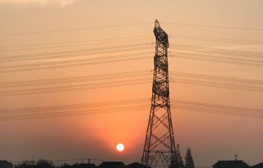 渔猫正钓搏5000标鱼失败