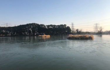 “冰钓”鲈鱼