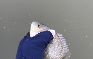 樽文打卡