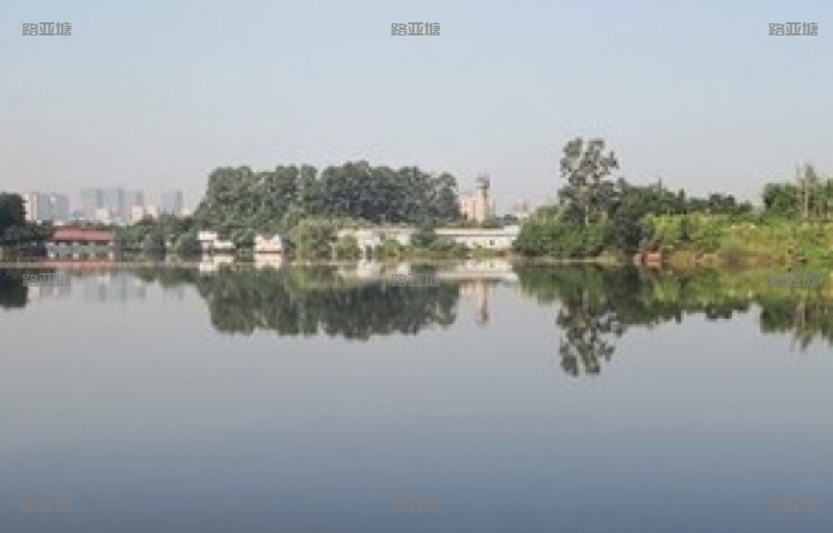 成都晴川路亚基地