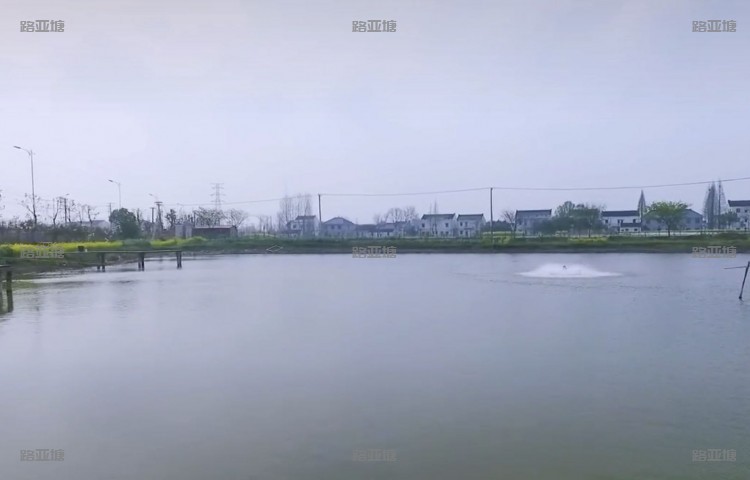 泰州AAA路亚基地