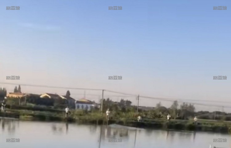 南京禄口新冠路亚钓场