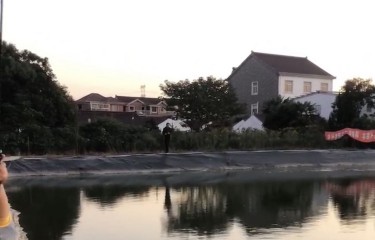 太仓熊大大路亚