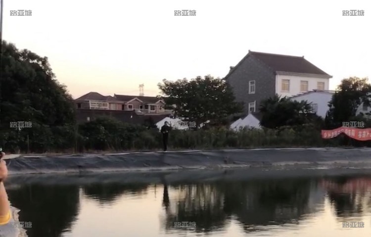 太仓熊大大路亚