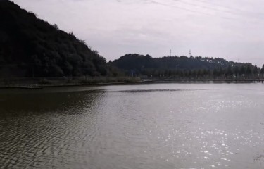 长沙扑辣椒路亚基地