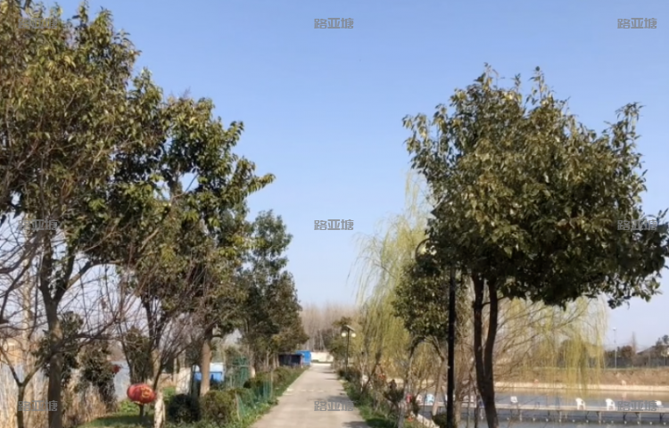 扬州水乡人家路亚