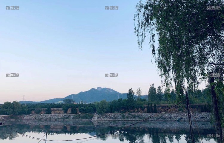 大连山水鱼庄
