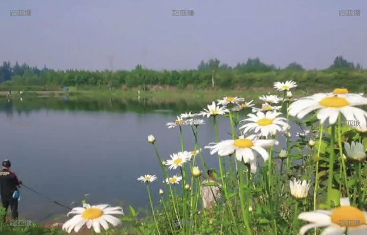 成都18路亚基地