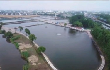 常熟阿丰垂钓中心