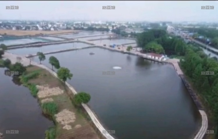 常熟阿丰垂钓中心