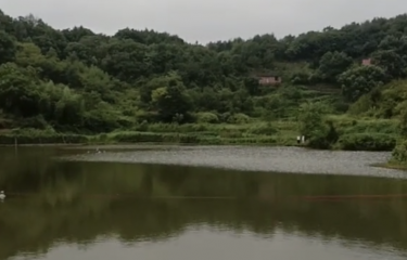 金华东阳盘龙岩休闲垂钓园