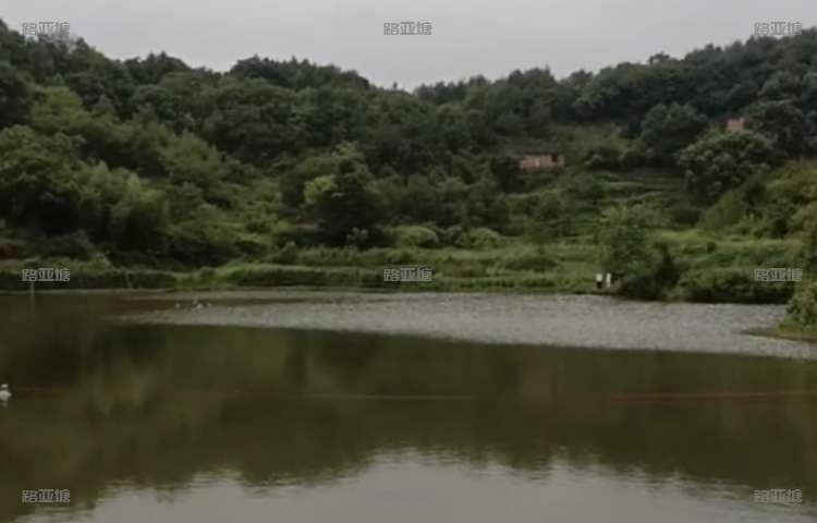 金华东阳盘龙岩休闲垂钓园