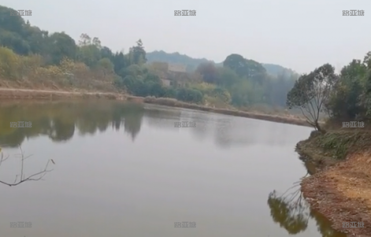 湘潭剪刀塘路亚(广缘德)