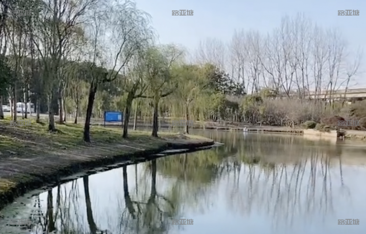 上海浦东友间鱼塘