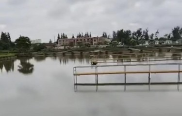 上海龙王金羽路亚塘