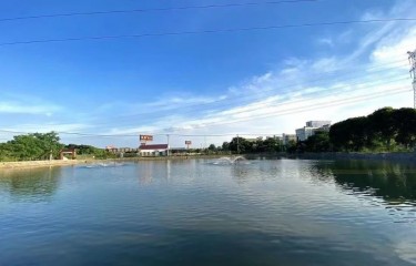 常州蓝色雨路亚基地