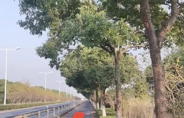 上海申隆垂钓中心