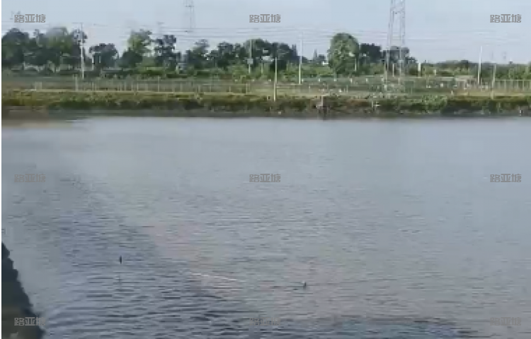 上海明哥路亚基地（果园店）