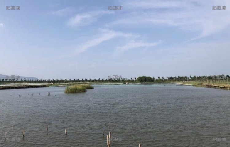 苏州东山太湖路亚基地