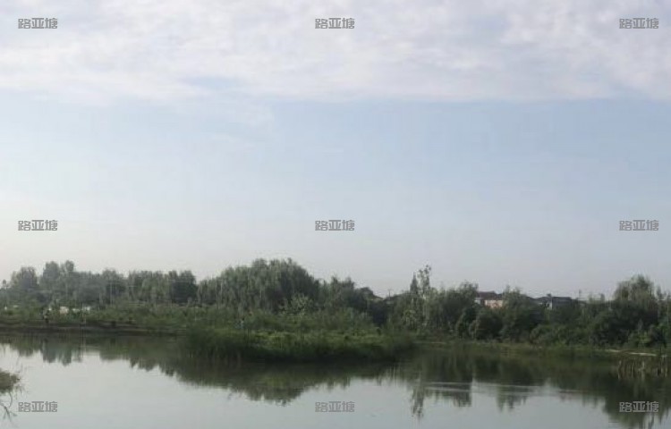 南京银龙路亚钓场