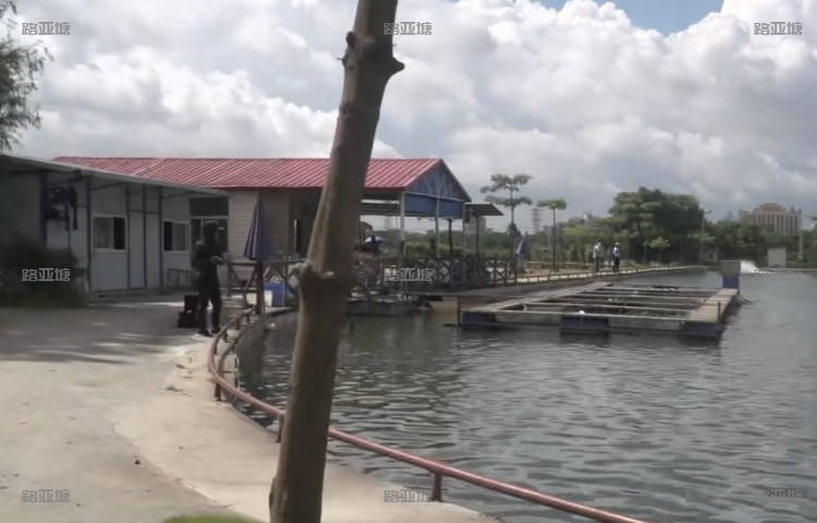 佛山金沙岛路亚基地