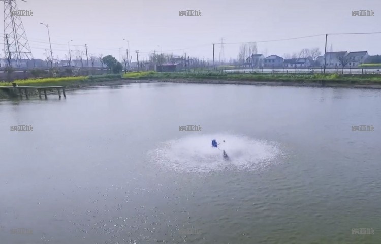 泰州AAA路亚基地