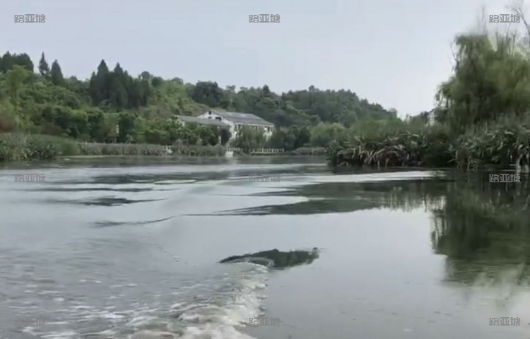 遵义十里荷塘路亚基地