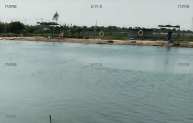 珠海钱多多垂钓园