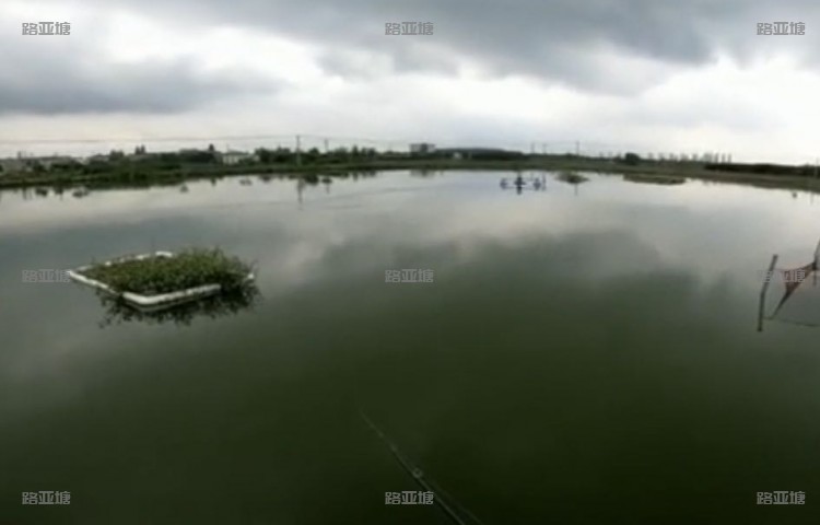 南京禄口新冠路亚钓场