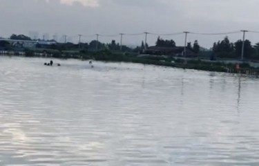 佛山大十麦海钓场