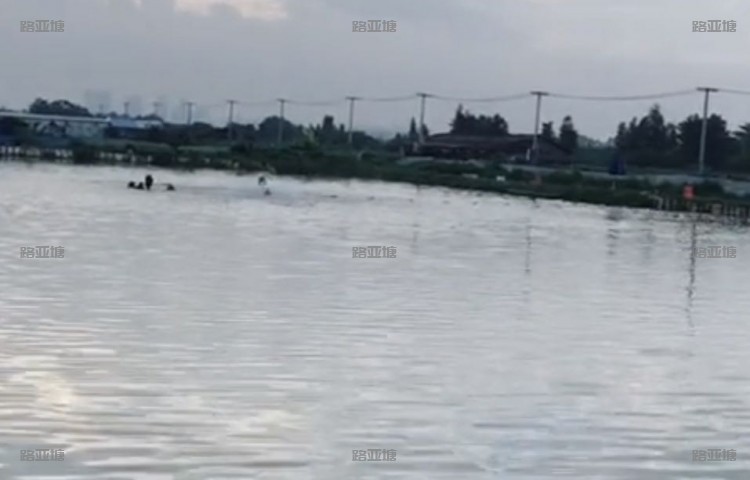 佛山大十麦海钓场