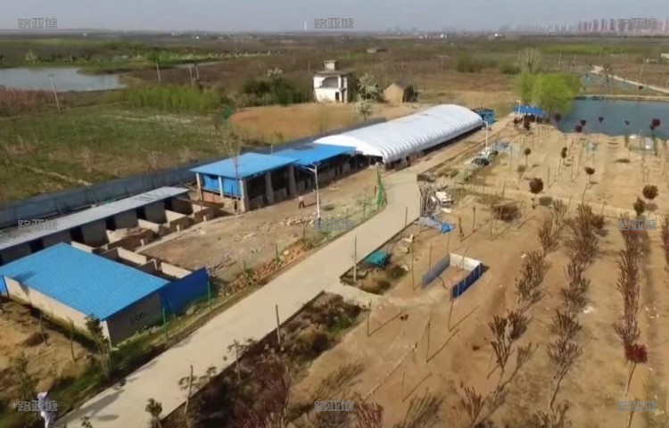 合肥圣水湖畔路亚基地