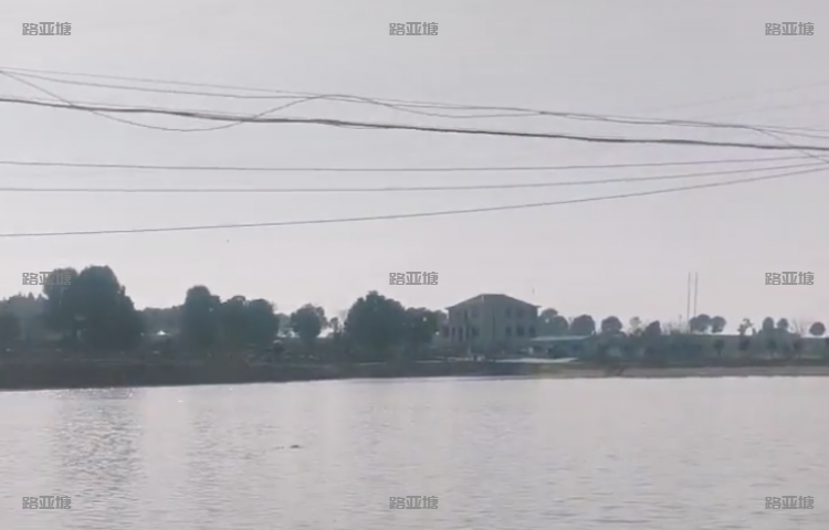 岳阳渔悦路亚基地