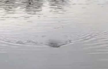 宣城鳄鱼湖路亚基地