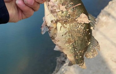 阜阳临泉路亚基地