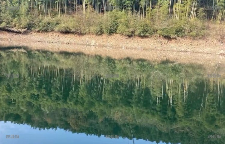 赣州荷花塘路亚基地