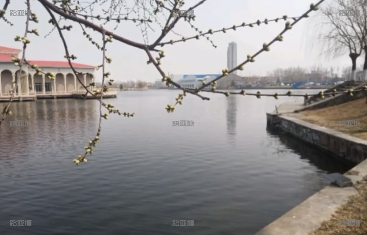 天津天鹅湖路亚基地