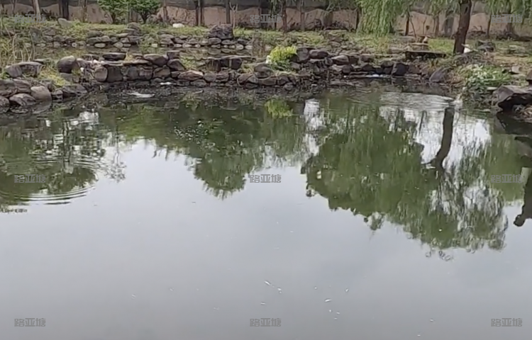 杭州国缘休闲路亚基地