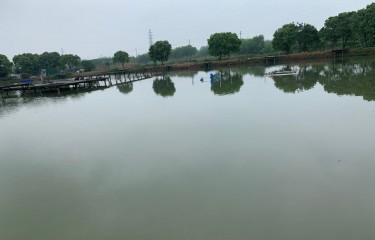 昆山孟子浜路亚垂钓场