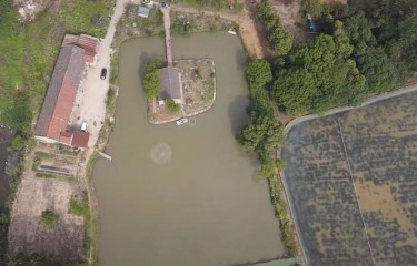 江阴子柚路亚