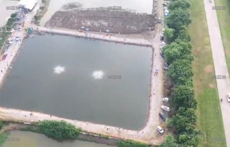 佛山三洪奇海钓场