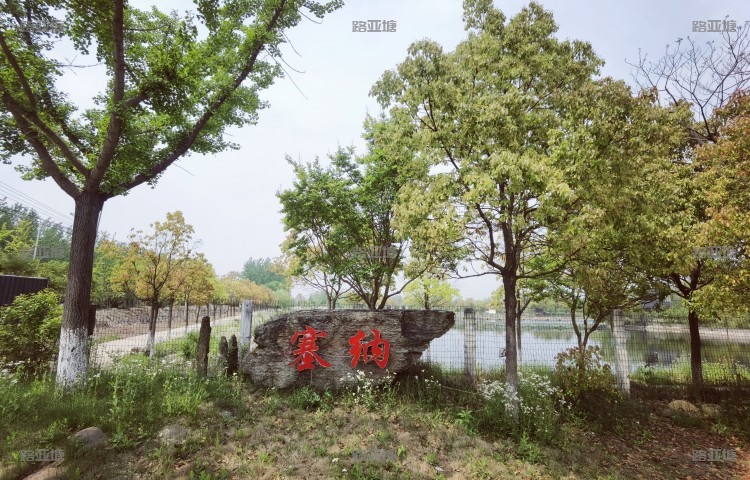 东台塞纳路亚俱乐部