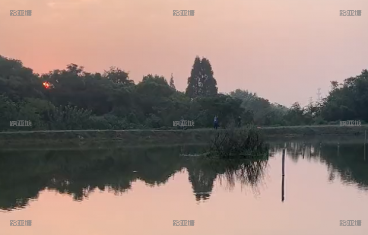 嘉兴不倒翁路亚基地