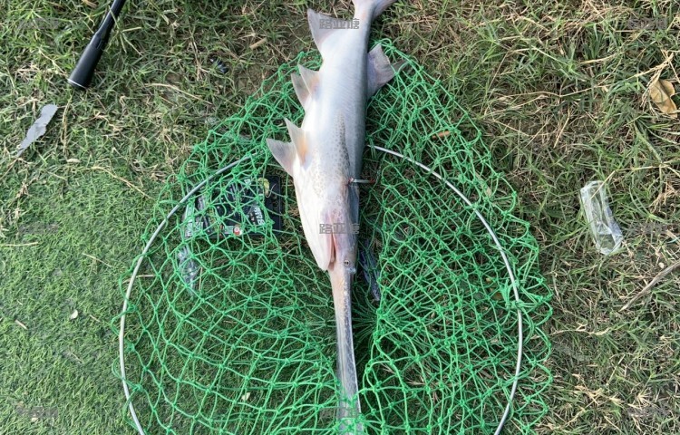 常州溧阳大溪路亚垂钓园