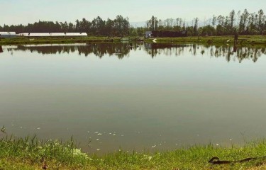 杭州金马鱼庄垂钓基地