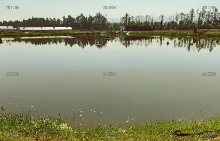 杭州金马鱼庄垂钓基地