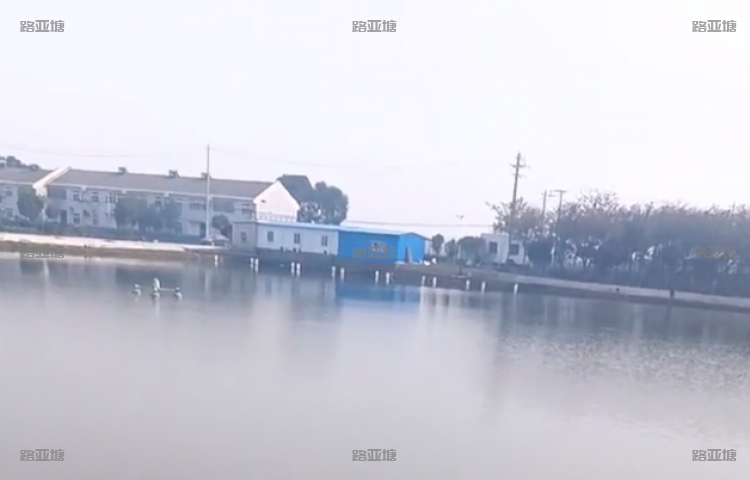 武汉蔡甸金鸡路亚基地