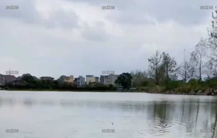 衢州吕塘路亚钓场