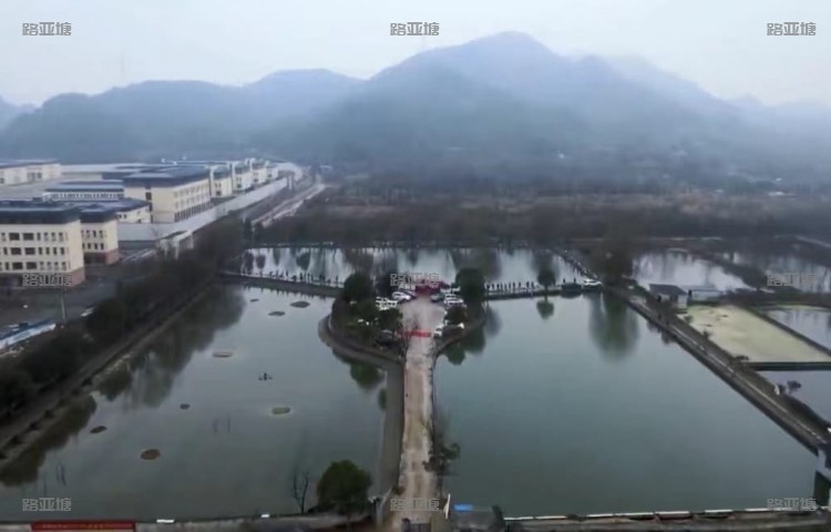 杭州三桥路亚